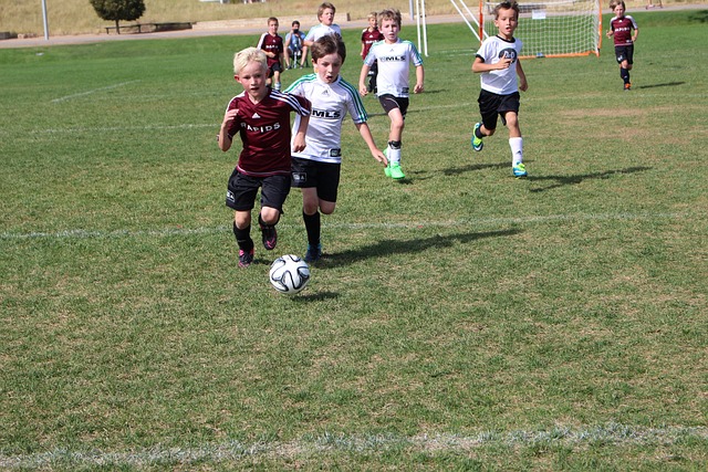 给力新援，加布里埃尔租借加盟海港，贡献11球5助攻