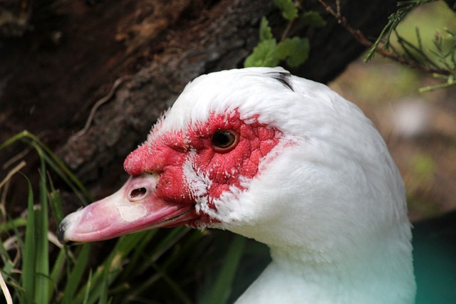 杨瀚森工作室：5天7000公里的旅程，相信你已努力做到最好