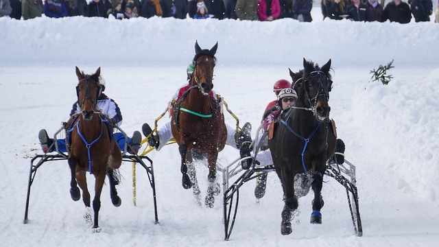 心的價值 心的價值