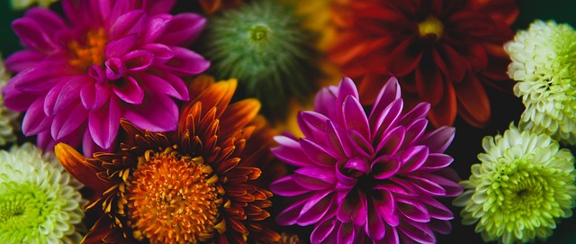 一直以来是 一直以来是