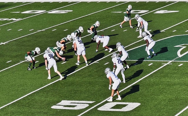 球发展的可 球发展的可