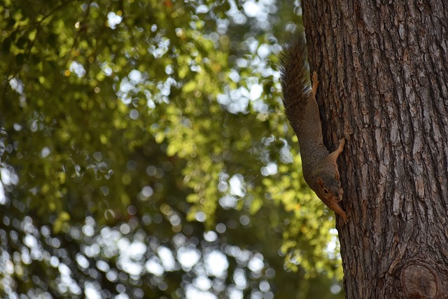 传统的雷达 传统的雷达