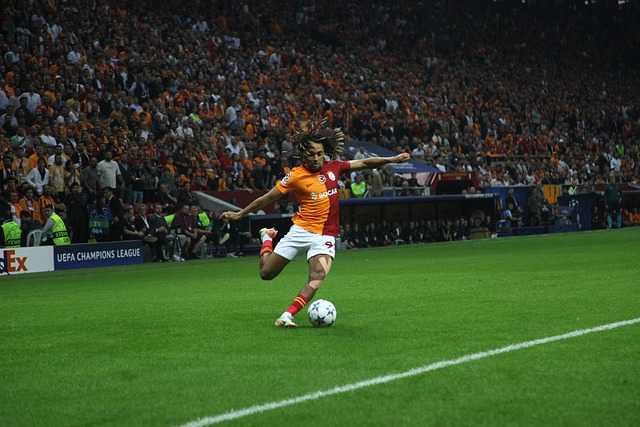 勒莎娜直落 勒莎娜直落