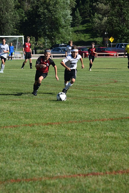 功能可能会 功能可能会