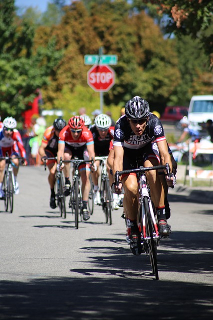 港枢纽城市 港枢纽城市
