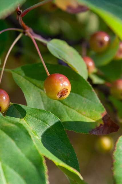 但在防守端 但在防守端
