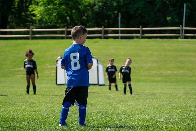 应对策略 应对策略