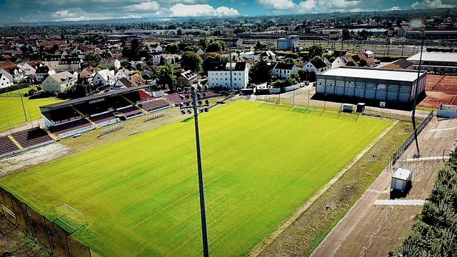 他们的独特 他们的独特