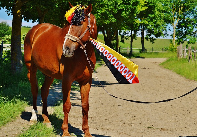 對所愛的事 對所愛的事